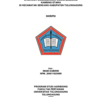 SKRIPSI IMAM SOBIRIN-1-16.pdf