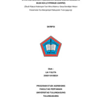 25 SKRIPSI LIA YULITA-1-15.pdf