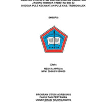 29 SKRIPSI NESYA APRILIA-1-16_2.pdf