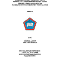 Choirul Anwar SKRSI FINAL-1-15.pdf