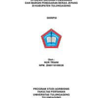 19 SKRIPSI NUR TRIANI-1-14.pdf